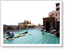 屋上緑化　熱の変化の調査