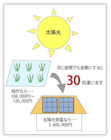稲作と太陽光発電の金額