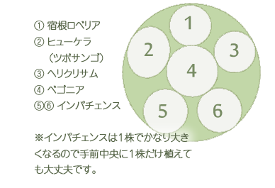 �@ �h�����x���A �A �q���[�P��     �i�c�{�T���S�j �B �w���N���T�� �C �x�S�j�A �D�E �C���p�`�F���X  ���C���p�`�F���X�͂P���ł��Ȃ�傫���Ȃ�̂Ŏ�O�����ɂP�������A���Ă����v�ł��B