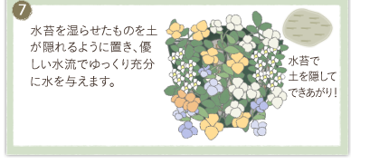 ���ۂ����点�����̂�y���B���悤�ɒu���A�D���������ł������[���ɐ���^���܂��B