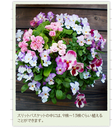 �X���b�g�o�X�P�b�g�̒��ɂ́A��P�T���قǐA���邱�Ƃ��ł��܂��B