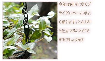 ���N�͉����ɂȂ��u���C�_���x�[�����悭�炿�܂��B�������Ǝd���Ă邱�Ƃ��ł���ł��傤���H