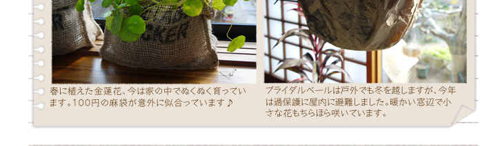 �t�ɐA�������@�ԁA���͉Ƃ̒��łʂ��ʂ�����Ă��܂��B�P�O�O�~�̖��܂��ӊO�Ɏ������Ă��܂��� �^�u���C�_���x�[���͌ˊO�ł��~���z���܂����A���N�͉ߕی�ɉ����ɔ��܂����B�g�������ӂŏ����ȉԂ�����ق�炢�Ă��܂��B  
