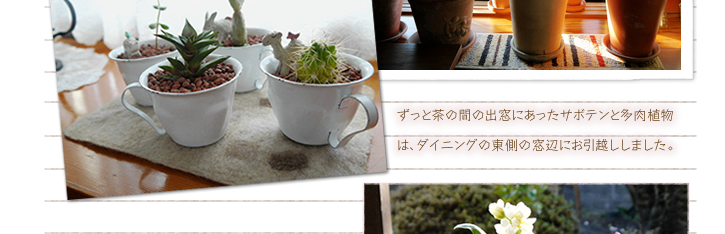 �����ƒ��̊Ԃ̏o���ɂ������T�{�e���Ƒ����A���́A�_�C�j���O�̓����̑��ӂɂ����z�����܂����B 
