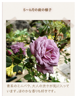 �T�`�U���̒�̗l�q�^�n�̃~�j�o���A��l�̏a�����C�ɓ����Ă��܂��B�ق̂��ȍ�����D���ł��B
