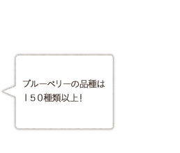 �u���[�x���[�̕i��� �P�T�O��ވȏ�I