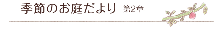 �G�߂̂��낾����2��