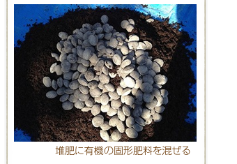 �͔�ɗL�@�̌Ō`�엿��������