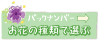 お花の種類で選ぶ