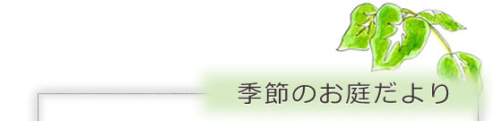 �G�߂̂��낾���