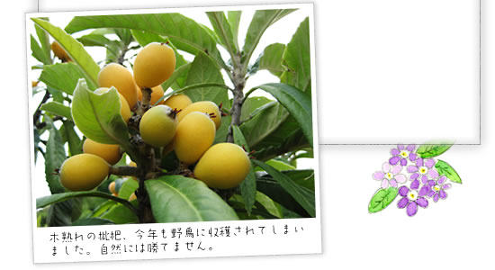 �؏n��̔��f�A���N���쒹�Ɏ��n����Ă��܂��܂����B���R�ɂ͏��Ă܂���B