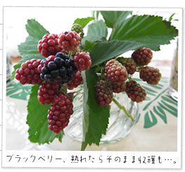 �u���b�N�x���[�A�n�ꂽ�炻�̂܂܎��n�॥��B