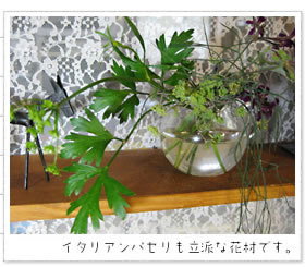 �C�^���A���p�Z�������h�ȉԍނł��B
