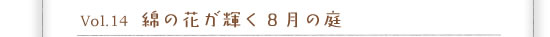 Vol.14 �Ȃ̉Ԃ��P���W���̒�