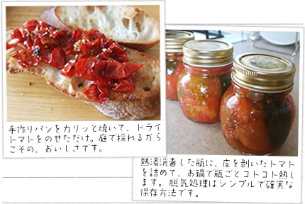 手作りパンをカリッと焼いて、ドライトマトをのせただけ。庭で採れるからこその、おいしさです。
熱湯消毒した瓶に、皮を剥いたトマトを詰めて、お鍋で瓶ごとコトコト熱します。脱気処理はシンプルで確実な保存方法です。