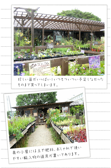 珍しい苗がいっぱい!いつもついつい予定しなかったものまで買ってしまいます。
奥の小屋には土や肥料、おしゃれで使いやすい輸入物の道具が置いてあります。