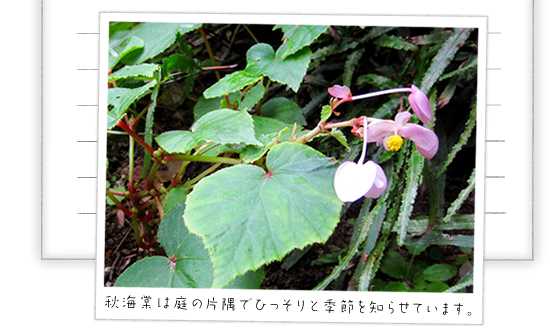 �H�C���͒�̕Ћ��łЂ�����ƋG�߂�m�点�Ă��܂��B