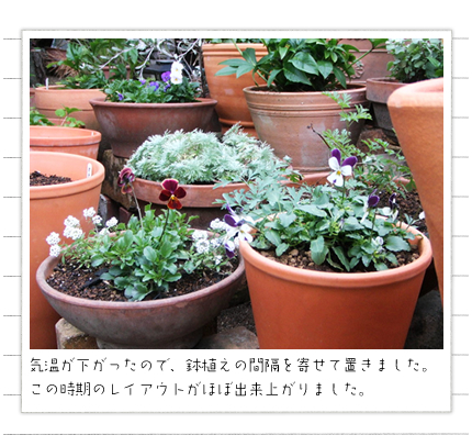 �C�������������̂ŁA���A���̊Ԋu���񂹂Ă����܂����B���̎����̃��C�A�E�g���قڂł��オ��܂����B