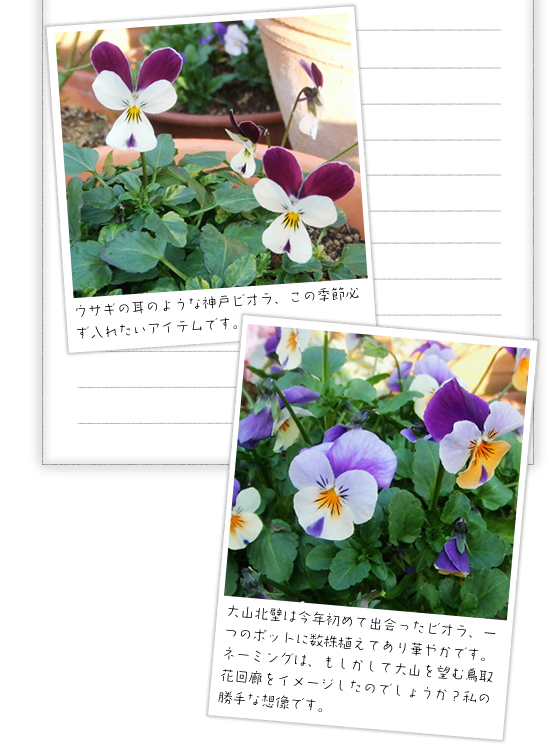 �ʐ^��F�E�T�M�̎��̂悤�Ȑ_�˃r�I���A���̋G�ߕK�����ꂽ���A�C�e���ł��B
  �ʐ^���F�E�T�M�̎��̂悤�Ȑ_�˃r�I���A���̋G�ߕK�����ꂽ���A�C�e���ł��B
 