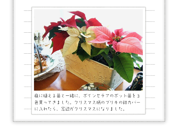 ��ɐA����c�ƈꏏ�ɁA�|�C���Z�`�A�̃|�b�g�c���R�F�����Ă��܂����B�N���X�}�X���̃u���L�̔��J�o�[�ɓ��ꂽ��A���ӂ��N���X�}�X�ɂȂ�܂����B