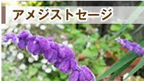 �A���W�X�g�Z�[�W
