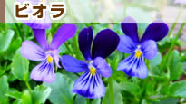 �r�I��
