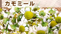 �J���~�[��
