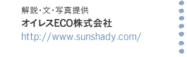 EEʐ^ ICXECO http://www.sunshady.com/