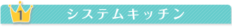 �V�X�e���L�b�`��