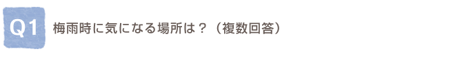 Q1.�~�J���ɋC�ɂȂ�ꏊ�́H�i�����񓚁j