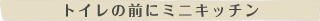 �g�C���̑O�Ƀ~�j�L�b�`��