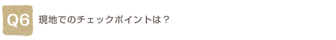 Q6. ���n�ł̃`�F�b�N�|�C���g�́H