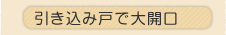 �������݌˂ő�J��