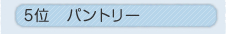 5�ʁ@�p���g���[