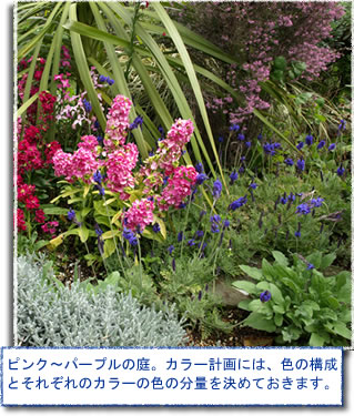 ピンク〜パープルの庭。カラー計画には、色の構成とそれぞれのカラーの色の分量を決めておきます。