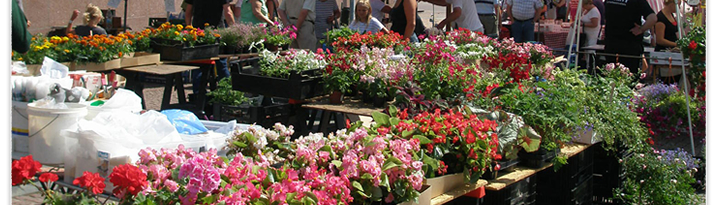 色とりどりのお花が並ぶマーケット
