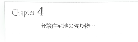 �����Z��n�̎c�蕨�c