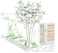 シンボルツリーの下草には？【素敵なお庭をつくりましょう！】