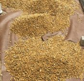 雑草をなんとかしたい【外構の手本とＤＩＹ 44】