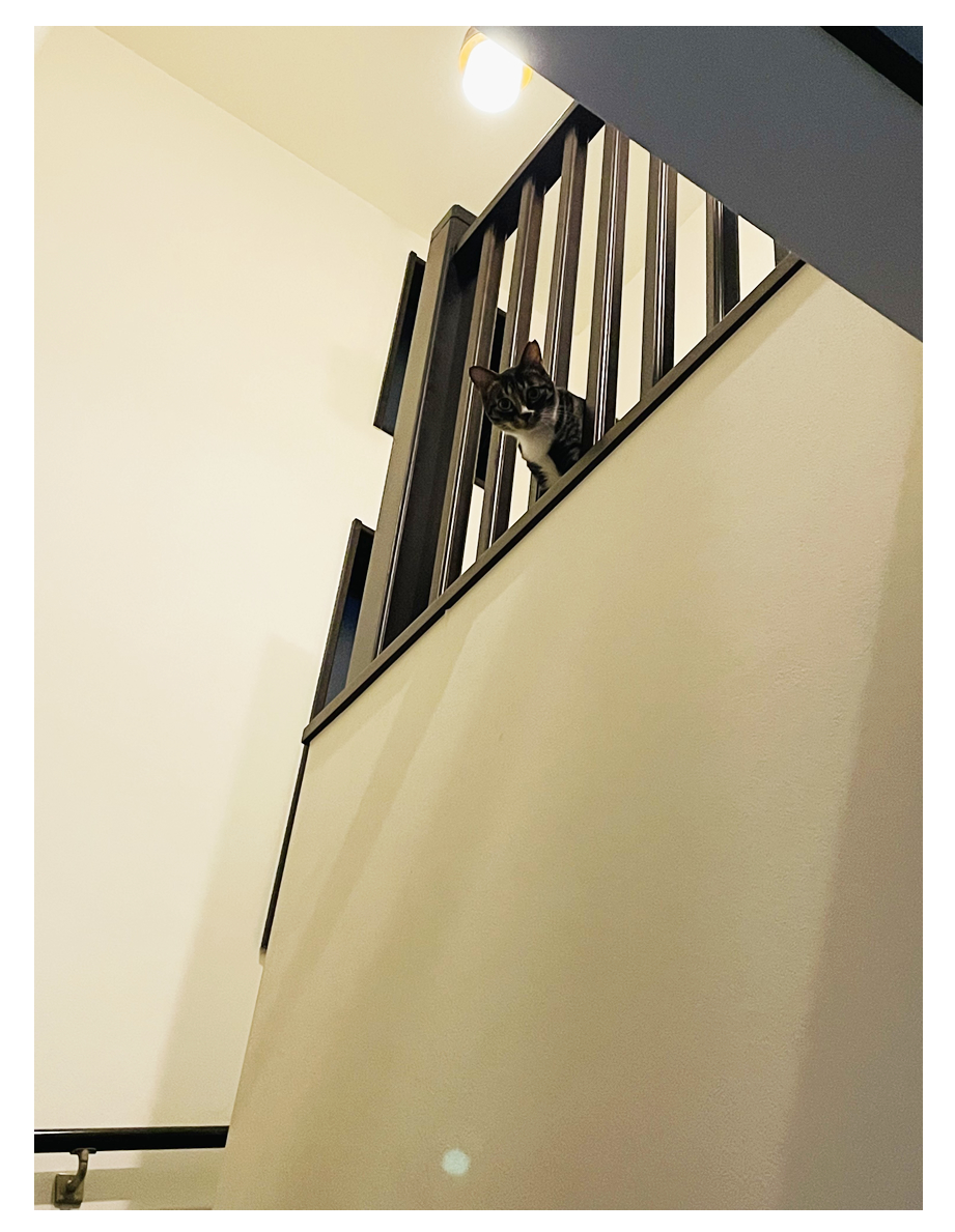 階段の配置・形状・デザイン・照明