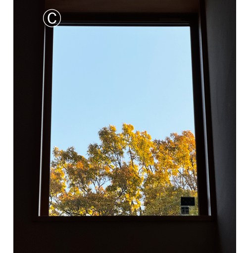 東側からは近くの公園の樹木が見えます。