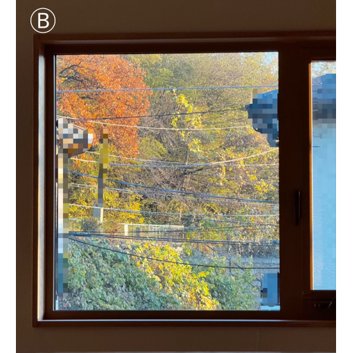 南の窓からは春になると八重桜を見ることができます。