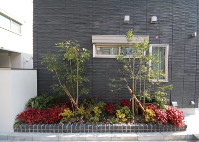 口コミ「わが家の植栽・菜園」