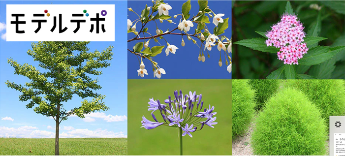 【ＰＲ】モデルデポ
お庭の植栽計画やランドスケープに使える樹木や花の写真を用意しました。プロのカメラマンが撮影した高解像度の写真を無料でダウンロードできます。