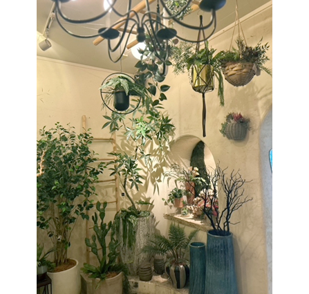 写真①：床やテーブルの上、さらには天井から吊るすなど、さまざまな高さの視点に植物を配置することで、豊かな空間が生まれます。