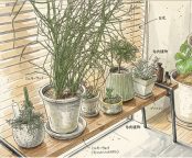 インテリア・レッスン　第24回