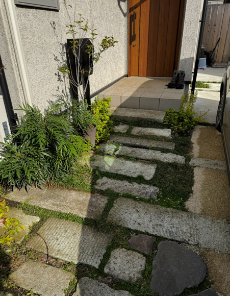 ポストとエアコンの配管まわりに、マホニア・コンフューサを植えて、自然の風景に馴染むようにしています。