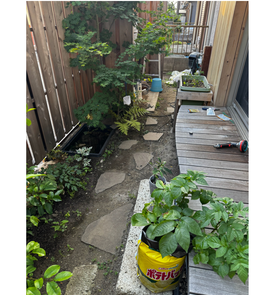 想像以上に苦労した飛び石を打つ作業。