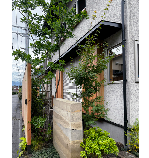 外観を引き立ててくれる山採りのアオダモ（左）、モミジ（右）。下草にはフッキソウを。